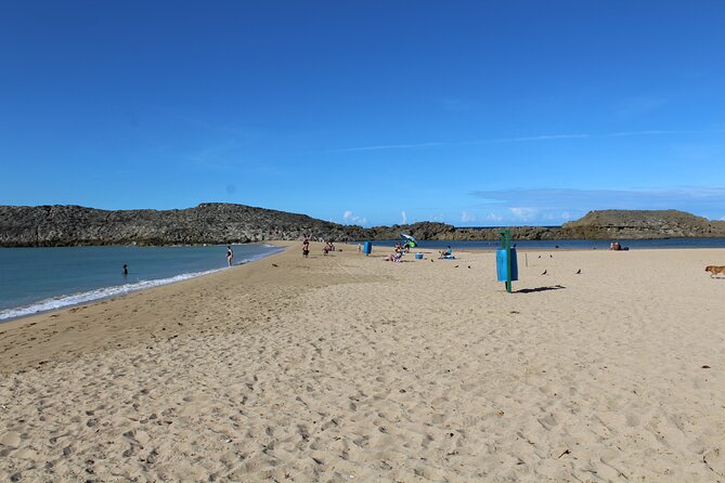 Small-Group North Coast Beach Hopping Adventure in Puerto Rico - Who Will Enjoy This Day Most