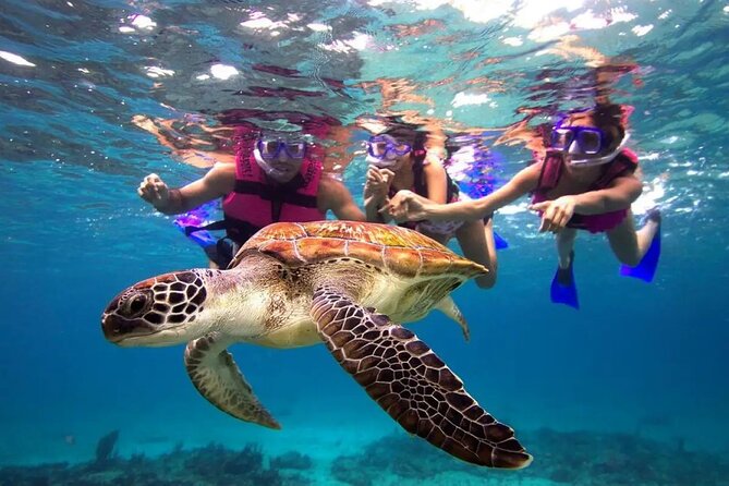 Snorkel, Swim & Snap-w/ Video - Key points to know before you book