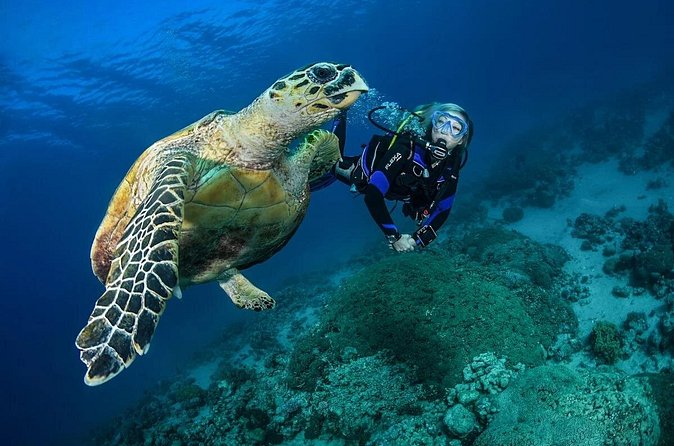 Snorkel, Swim & Snap-w/ Video - First, sort out which Puerto Rico tour you are booking