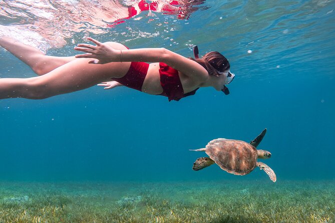 Snorkel, Swim & Snap-w/ Video - Getting into the water at Escambron Beach