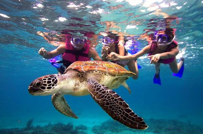 Snorkel, Swim & Snap-w/ Video - The GoPro video is a small benefit with real appeal