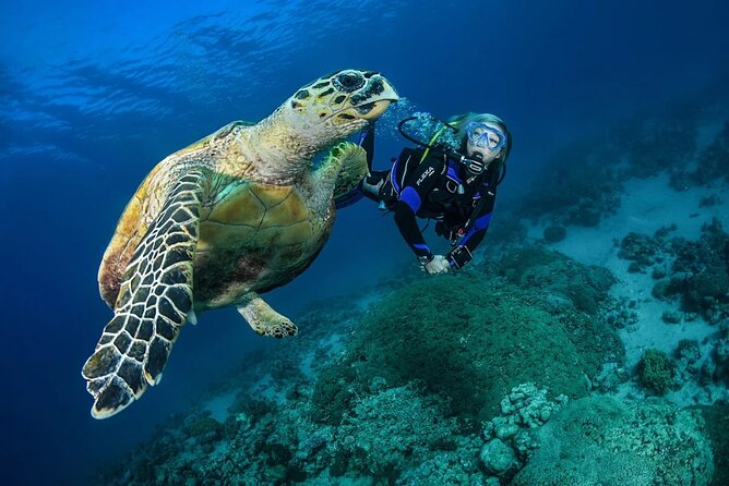 Snorkel, Swim & Snap-w/ Video - What the two-hour Escambron Beach outing includes