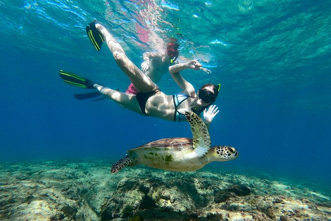 Snorkeling Adventure in Aguadilla - Key things to know before you book