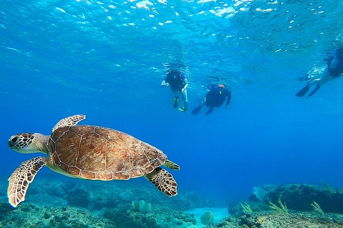 Snorkeling Adventure in Aguadilla - Starting at Peña Blanca Beach in Aguadilla