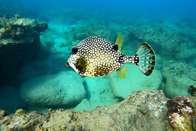 Snorkeling Adventure in Aguadilla - A calm start for first-time snorkelers