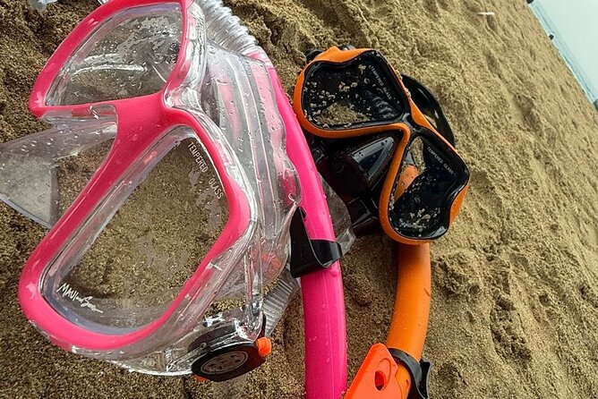 Snorkeling and Sightseeing Tour Explore Puerto Rico Marine Life - Key Points to Know Before You Book