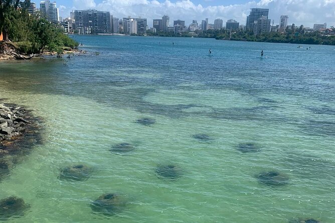 Snorkeling Guided Tour Experience in Condado Lagoon - Five things to know before you book