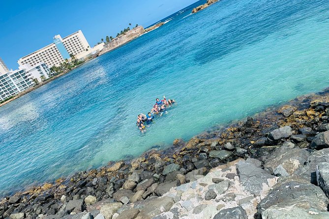 Snorkeling Guided Tour Experience in Condado Lagoon - Why Condado Lagoon makes an interesting snorkel stop