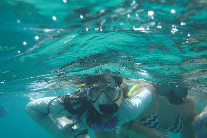 Snorkeling Guided Tour Experience in Condado Lagoon - The guides are the heart of the experience