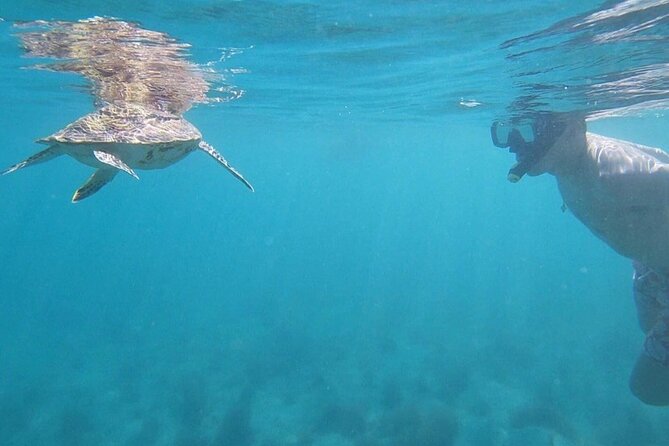 Snorkeling in Paradise - Videos Included - The safety briefing and equipment fitting
