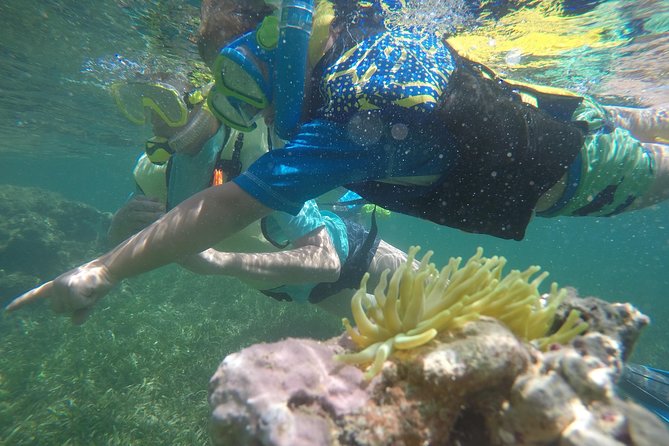 Snorkeling & Kayak Eco-Adventure in Puerto Rico - Starting at the Pirate Snorkeling Shack in Fajardo