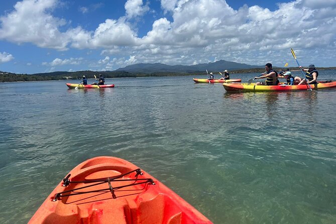 Snorkeling & Kayak Eco-Adventure in Puerto Rico - The eco message, without the staged wildlife show