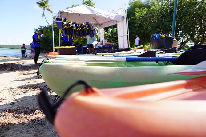 Snorkeling & Kayak Eco-Adventure in Puerto Rico - Who will enjoy this Fajardo outing most