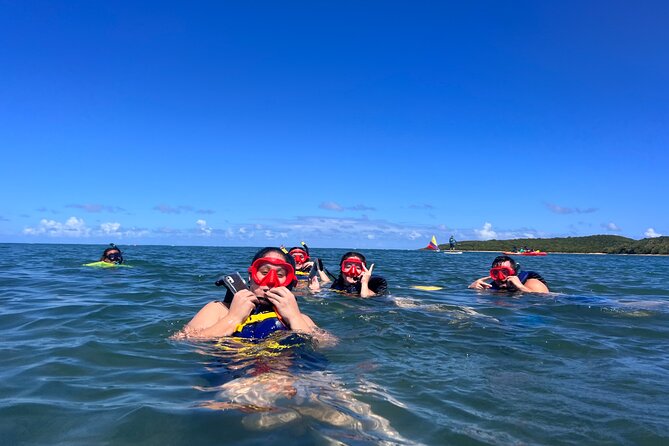 Snorkeling & Kayak Eco-Adventure in Puerto Rico - Practical packing and timing advice