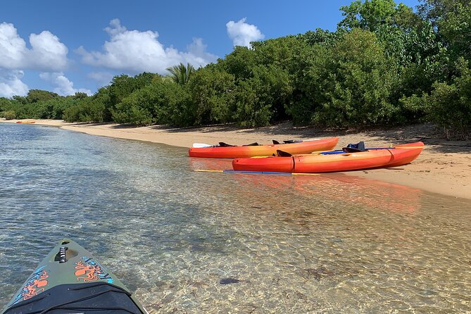 Snorkeling & Kayak Eco-Adventure in Puerto Rico - Paddling through Las Cabezas de San Juan