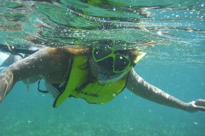 Snorkeling Lesson & Interactive Experience for Kids and Adults - Is $58 a fair price?