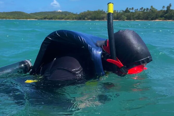 Snorkeling Lesson & Interactive Experience for Kids and Adults - What to bring and how to prepare