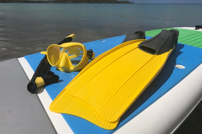 Snorkeling Lesson & Interactive Experience for Kids and Adults - The first lesson happens on the beach