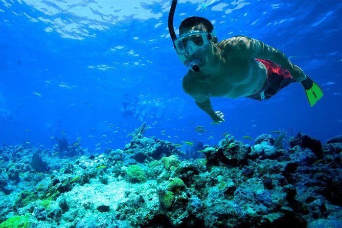 Snorkeling Tour to Vieques Island only 30 minutes away! - A crew that adds real value