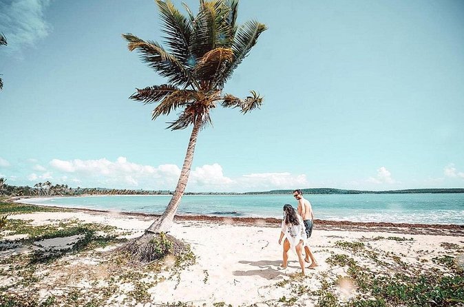 Snorkeling Tour to Vieques Island only 30 minutes away! - Snacks, drinks, and the $134.92 price