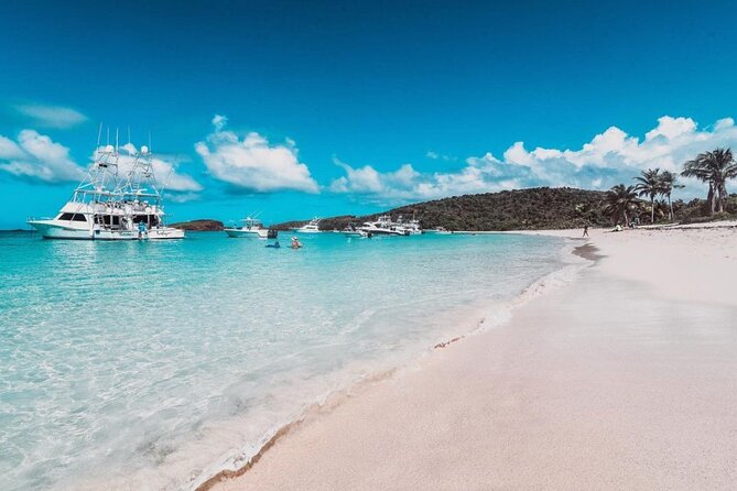 Snorkeling Tour to Vieques Island only 30 minutes away! - Getting ready for the reef