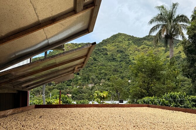Sueños de Cafe - A Coffee Lovers Dream - Key points at a glance