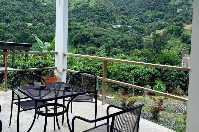 Sueños de Cafe - A Coffee Lovers Dream - Naturola La Barra and the final local lunch