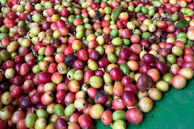 Sueños de Cafe - A Coffee Lovers Dream - Cascada Las Delicias: a short mountain pause