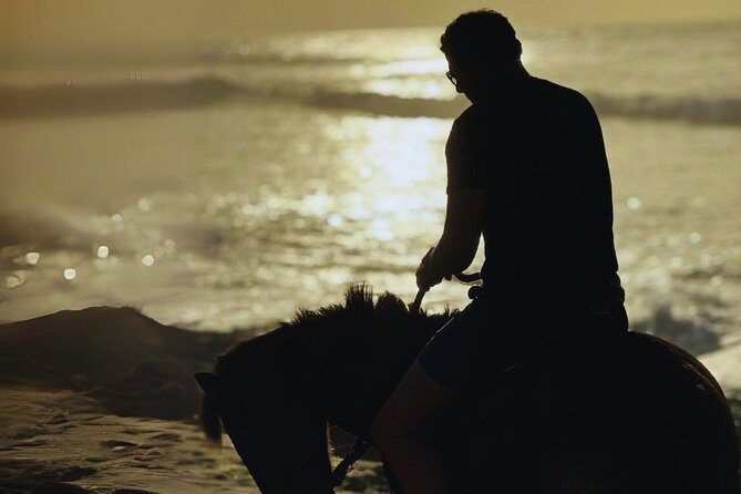 Sunset Horseback Ride by the Beach in Aguadilla, Puerto Rico - Meeting the horses and getting comfortable