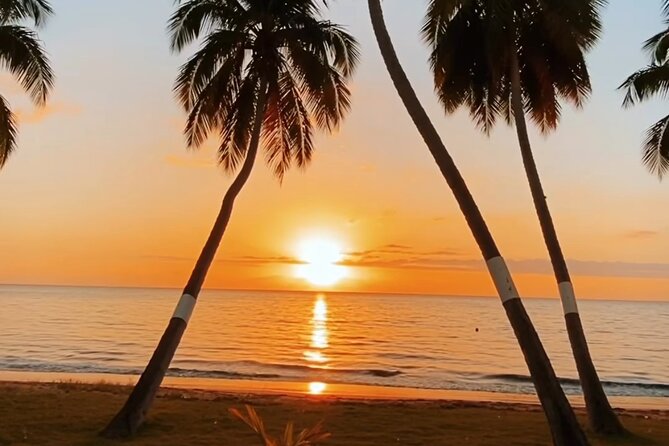 Taino Hidden Caves Guided Tour - What the guide adds to the day