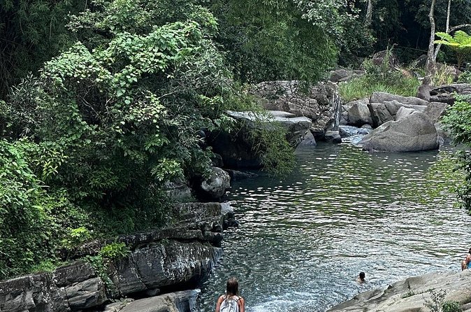 The Best Rainforest Experience in Puerto Rico - Luquillo Beach and a Taste of Puerto Rico