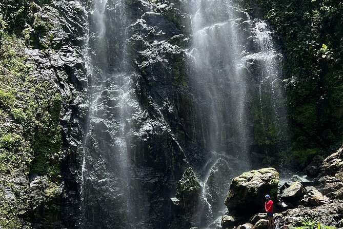 The Waterfall Adventure: Hiking in Paradise - Arriving at Charco Prieto Waterfall