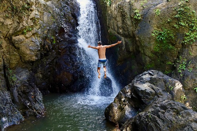 Top Rated El Yunque Rainforest & Waterslide – SmallGroup Tour - Key points to know before booking