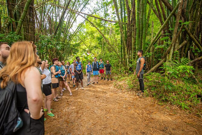 Top Rated El Yunque Rainforest & Waterslide – SmallGroup Tour - What makes the guide important