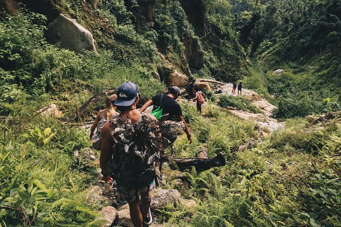 Top Rated El Yunque Rainforest & Waterslide – SmallGroup Tour - Is $45 a good value?