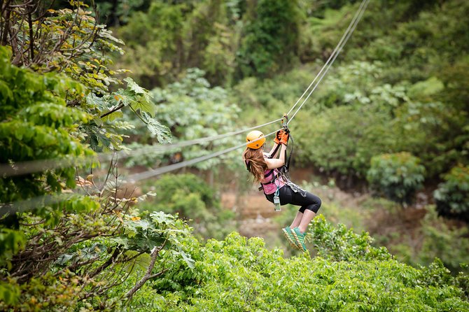Toro Verde 7-Zipline Tour Plus the Beast with Pickup - Who should choose this adventure?