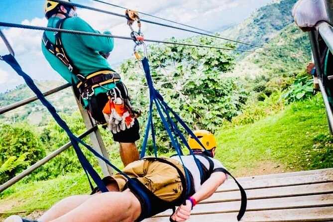 Toro Verde 7-Zipline Tour Plus the Beast with Pickup - Seven canopy runs and the forest below