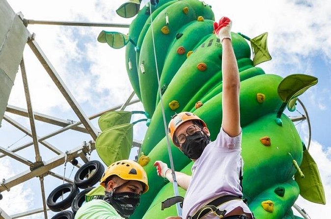 ToroRoller - Group Size and Timing