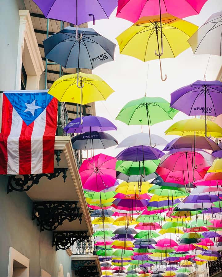 Tour de Viejo San Juan en Español - Cobblestones, color, and the old city walls