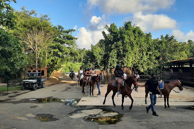 Transfer from San Juan to Ceiba Ferry or Ceiba to San Juan - Food, groceries, and useful stops before the ferry