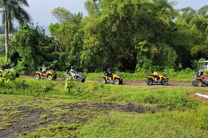 Transfer from San Juan to Ceiba Ferry or Ceiba to San Juan - When a private vehicle is the right choice