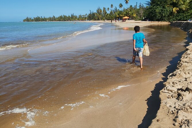 Transportation from San Juan to Ceiba ferry or airport - What the vehicle and service feel like