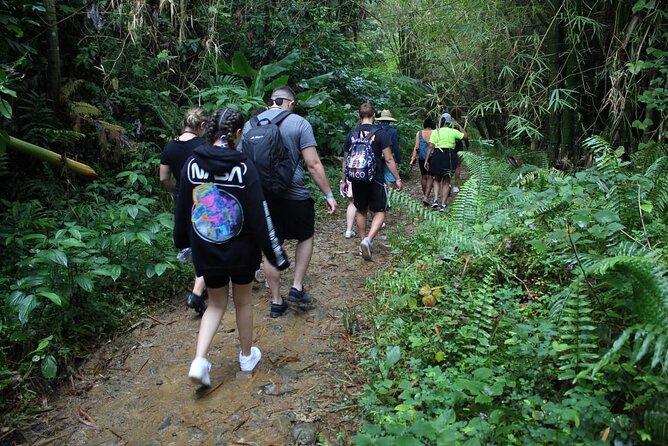Trio Tour: El Yunque, Luquillo Beach, and Bio Bay Night Kayaking - Luquillo Beach is the tour’s built-in pause