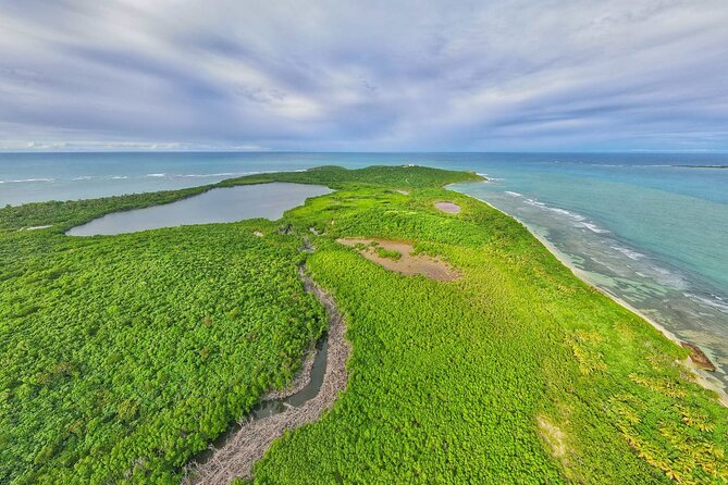 Trio Tour: El Yunque, Luquillo Beach, and Bio Bay Night Kayaking - Is $155 a fair price?
