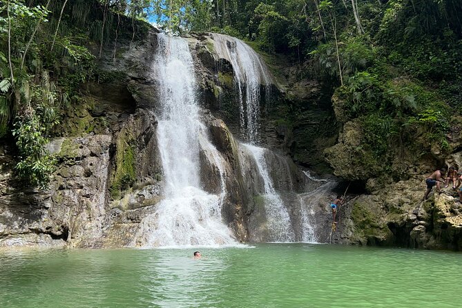 Tropical Rainforest Luxury Experiences - Key things to know before booking