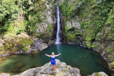 Tropical Rainforest Wonders Full Day Experience from San Juan