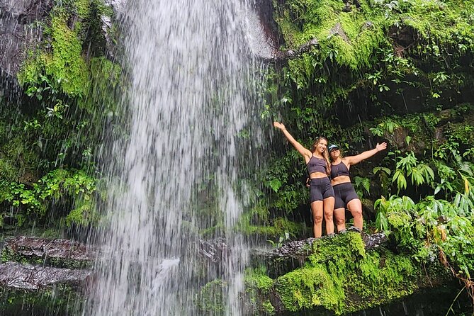 Tropical Rainforest Wonders Full Day Experience from San Juan - What guide Chendo adds to the day
