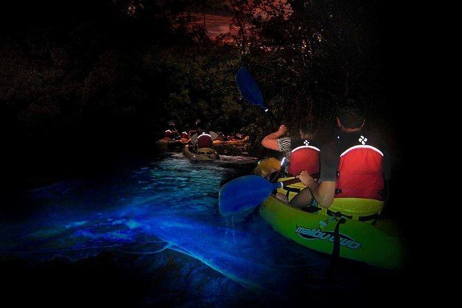 Two-in-One Day Trip: El Yunque and Bio Bay Tour with Transport - Key points to know before booking