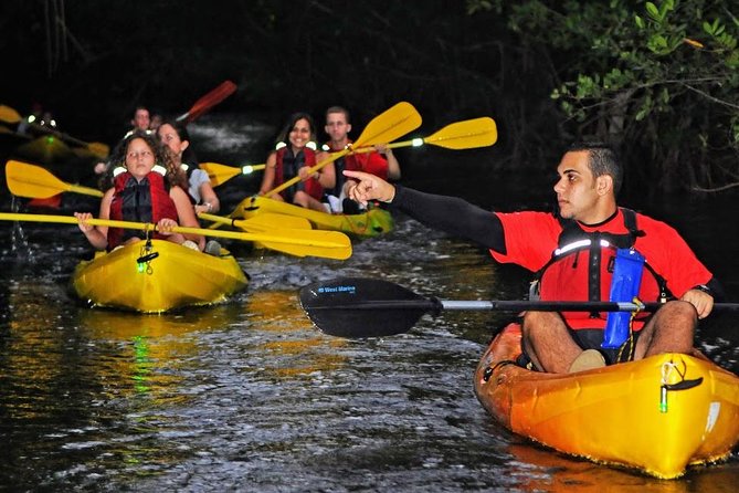 Two-in-One Day Trip: El Yunque and Bio Bay Tour with Transport - The restaurant break is useful, but dinner costs extra