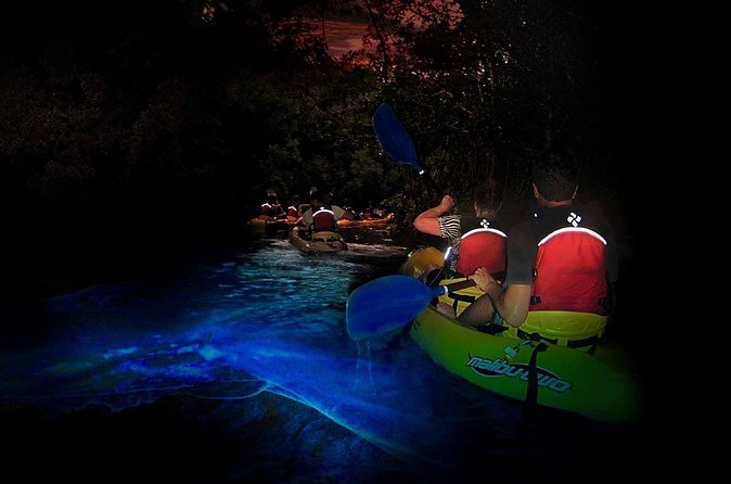 Two-in-One Day Trip: El Yunque and Bio Bay Tour with Transport - Guides and safety are the strongest part